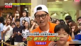 综艺直播吃瓜系统免费观看,免费观看，畅享娱乐狂欢